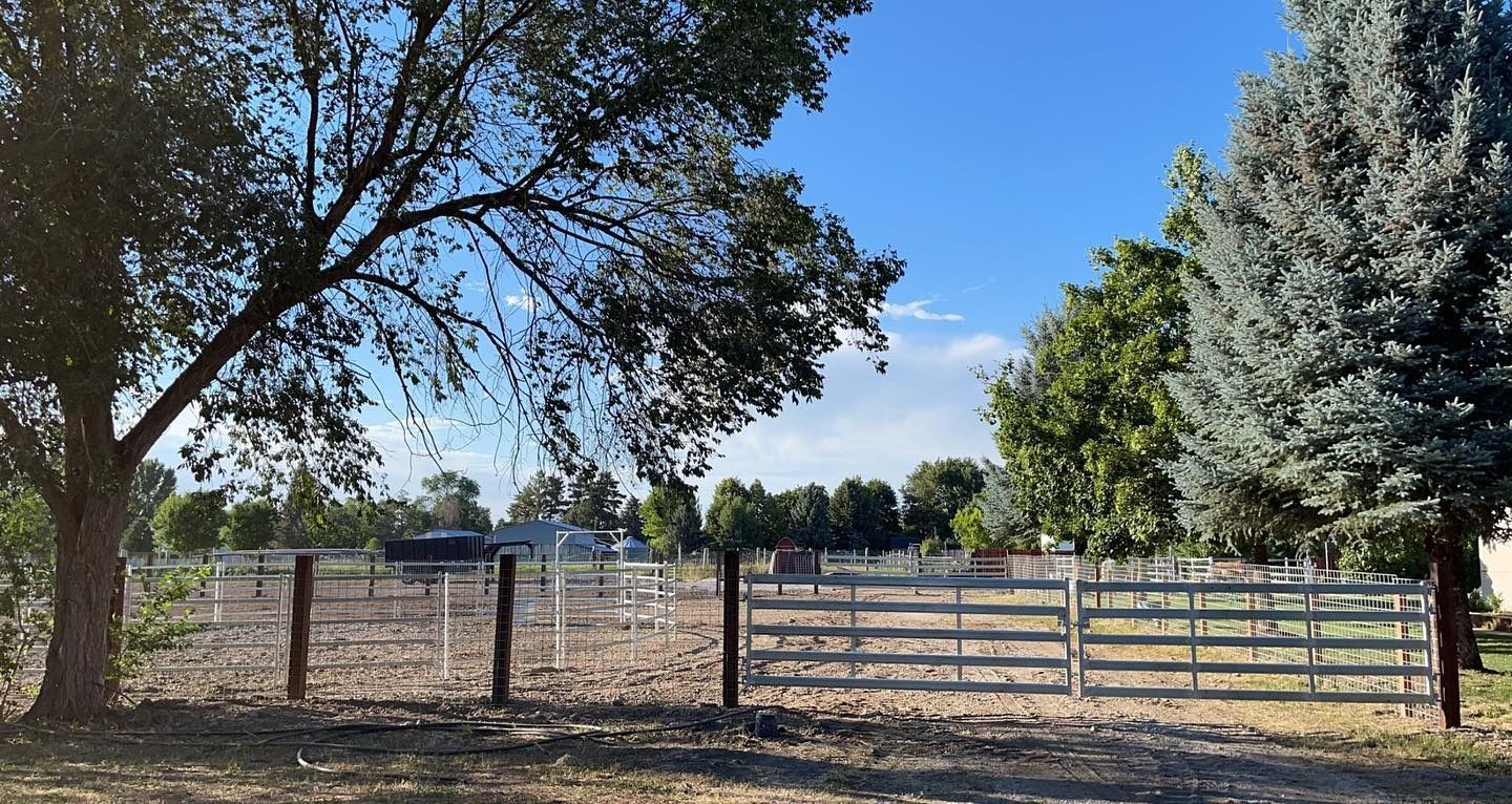 A fence surrounds a field with trees and a blue sky in the background.