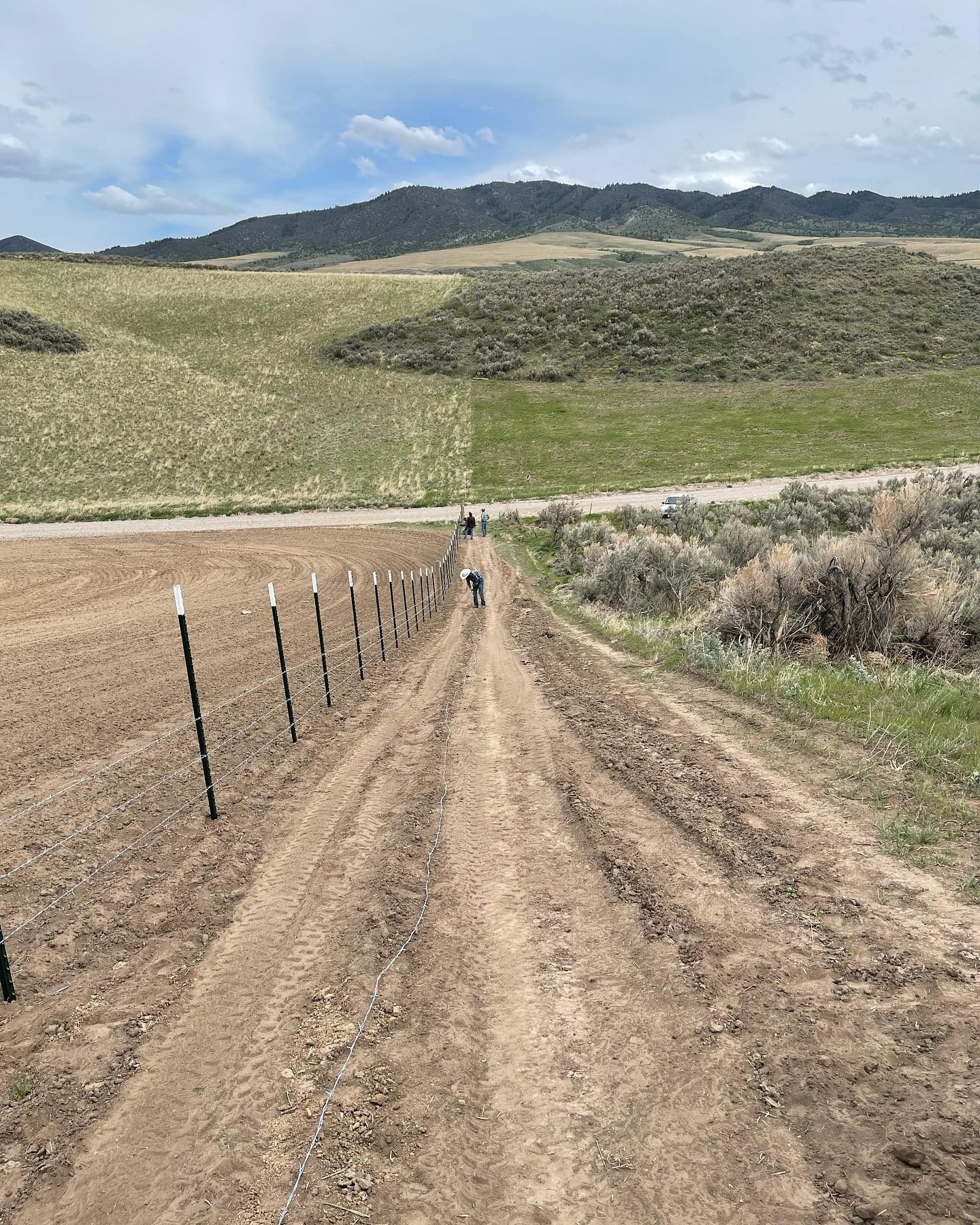 A dirt road going through a field with a fence and mountains in the background.