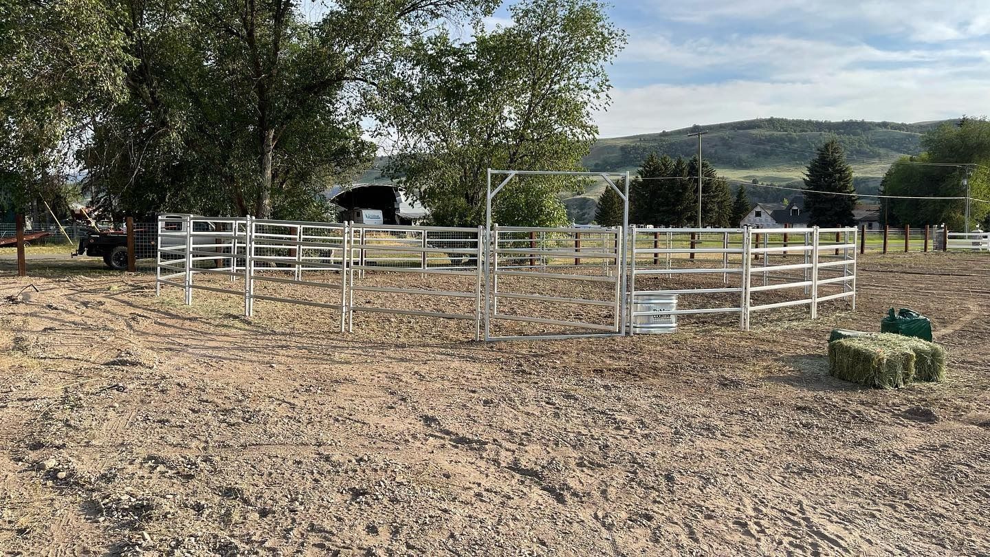 A horse is standing in a dirt field next to a fence.