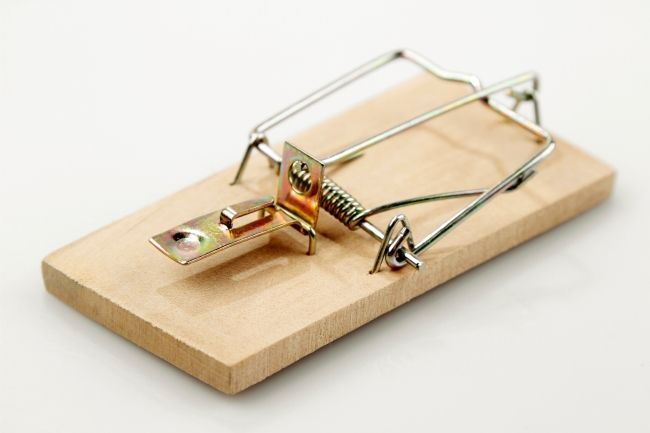 A mousetrap