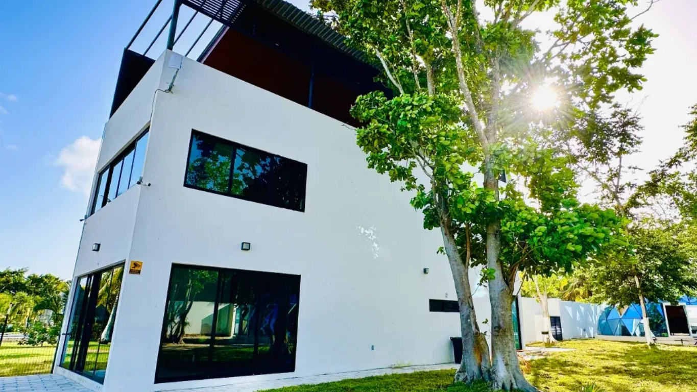 Edificio moderno blanco con grandes ventanales, cerca de un árbol, cielo azul.