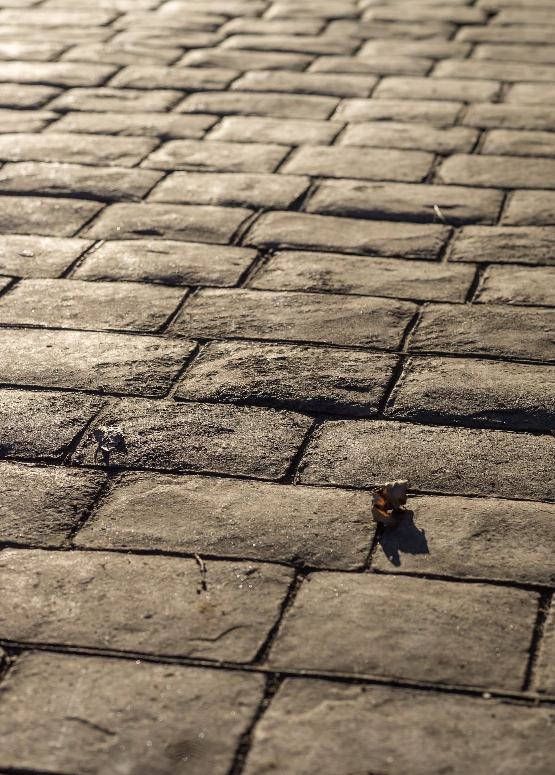 A close up of a brick pavement with a leaf on it