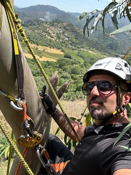 tree climbing ad Acireale Catania