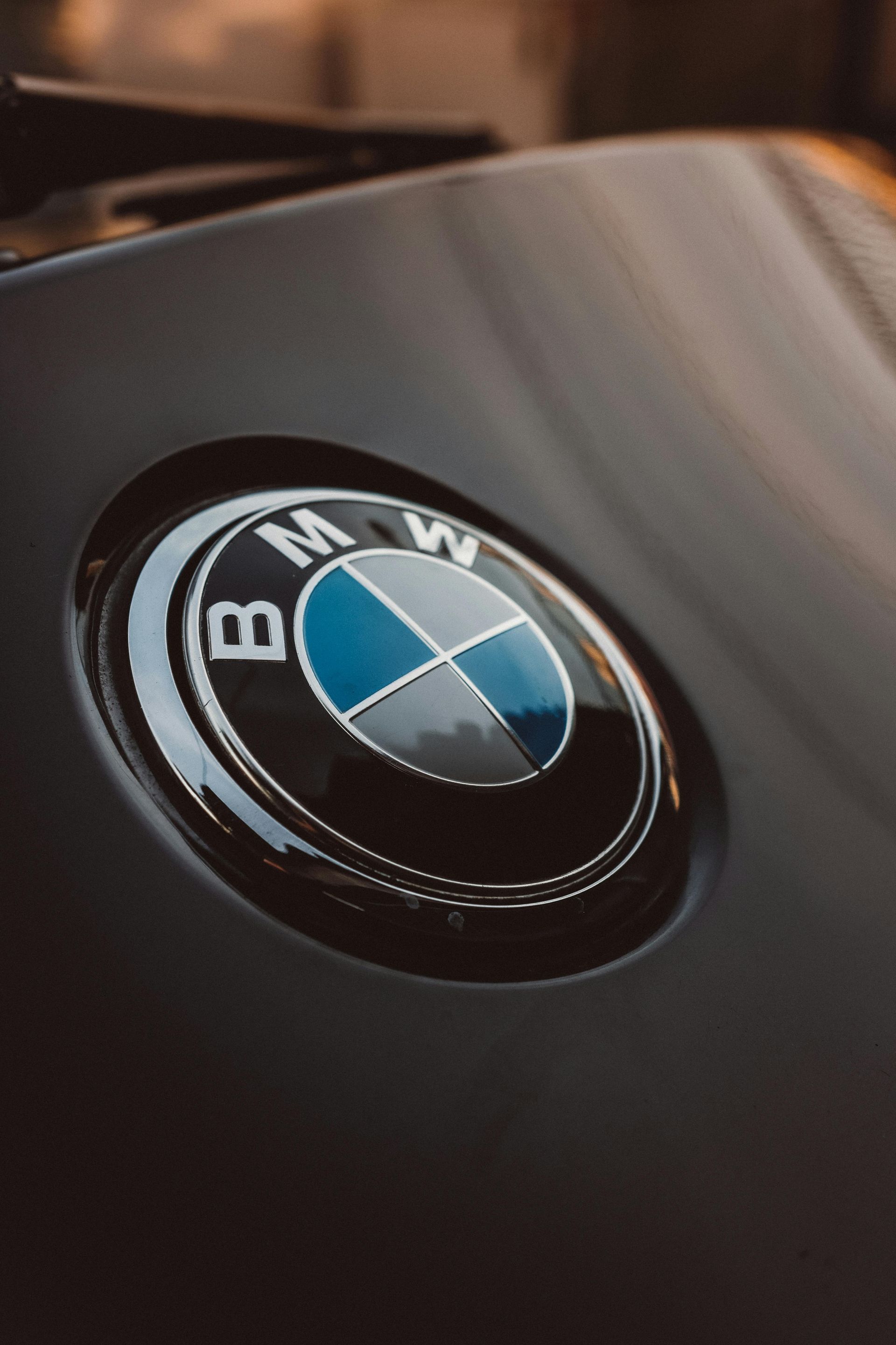 A close up of a bmw logo on the back of a car.