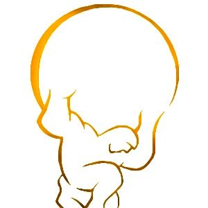 Contact Atlas Personal Property Appraisers