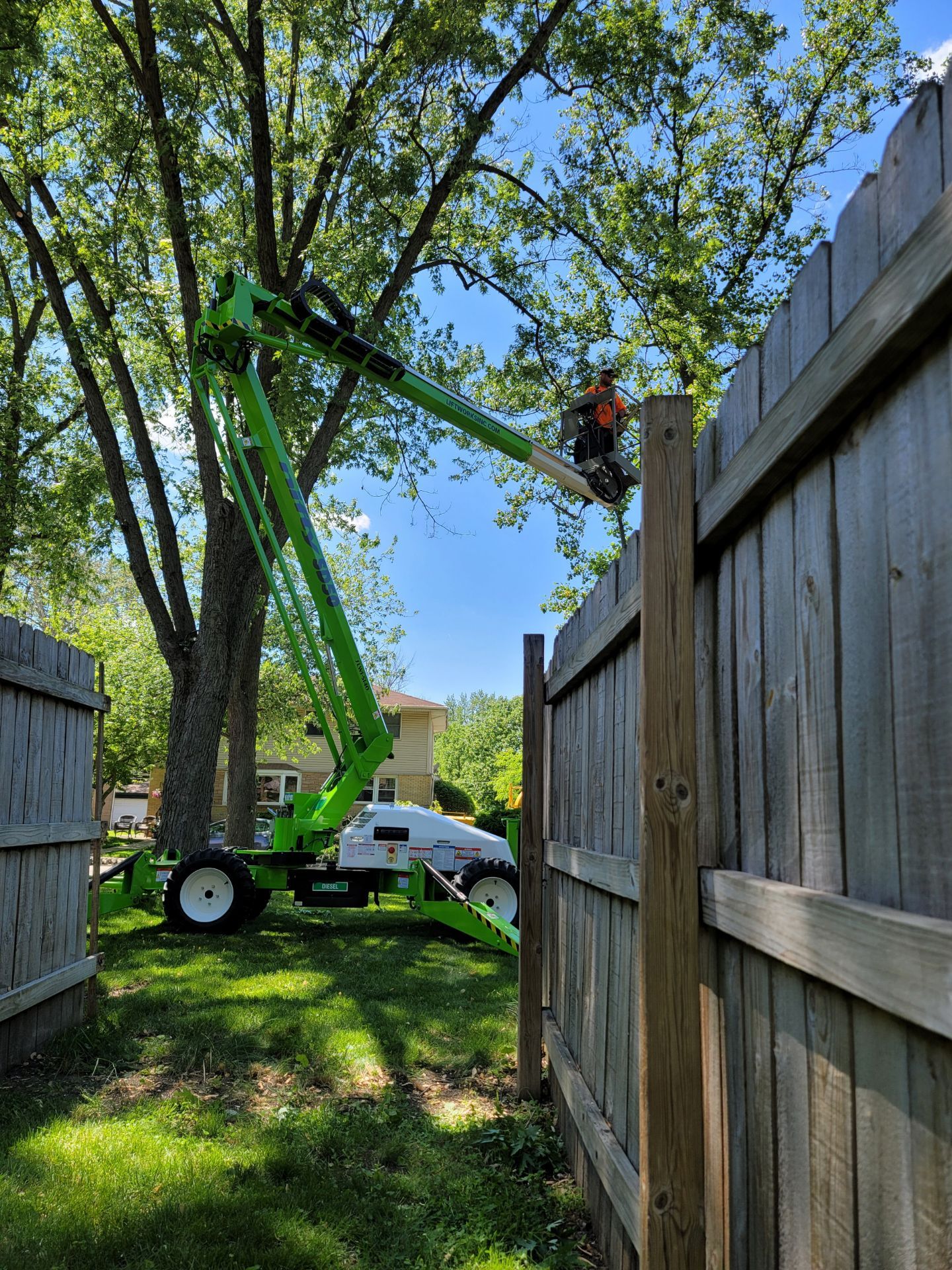 Tree Pruning — Homewood, IL — Midwest Tree Service
