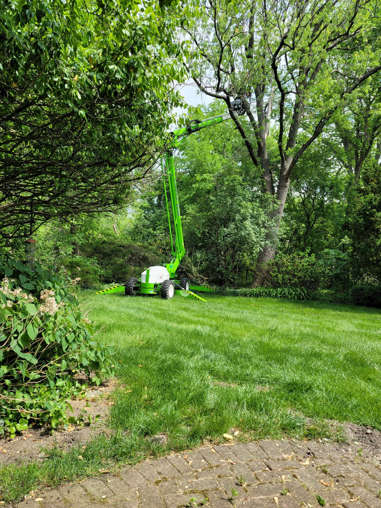 Tree Cutting — Homewood, IL — Midwest Tree Service