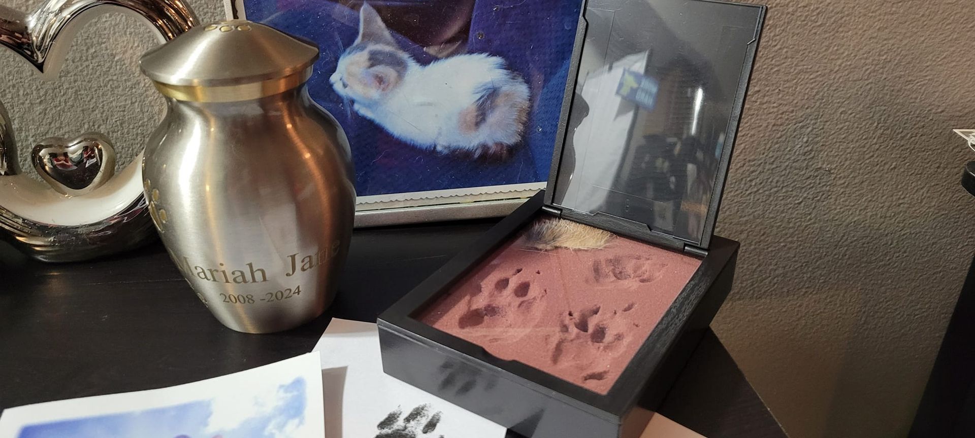 Cat pet memorial