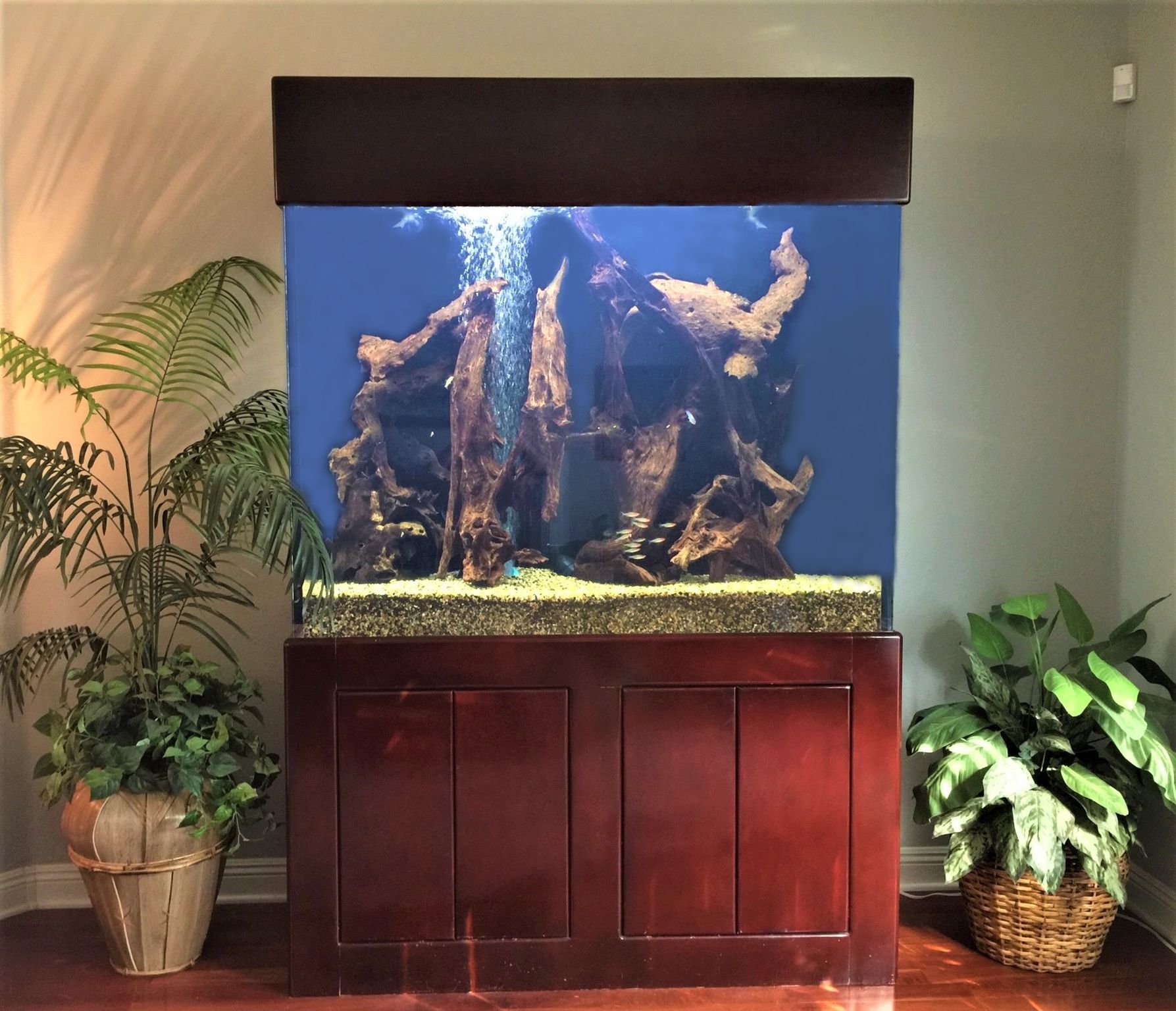 260 Gallon Freshwater Bog Wood — Carlsbad, CA — Aquaman Aquarium Services