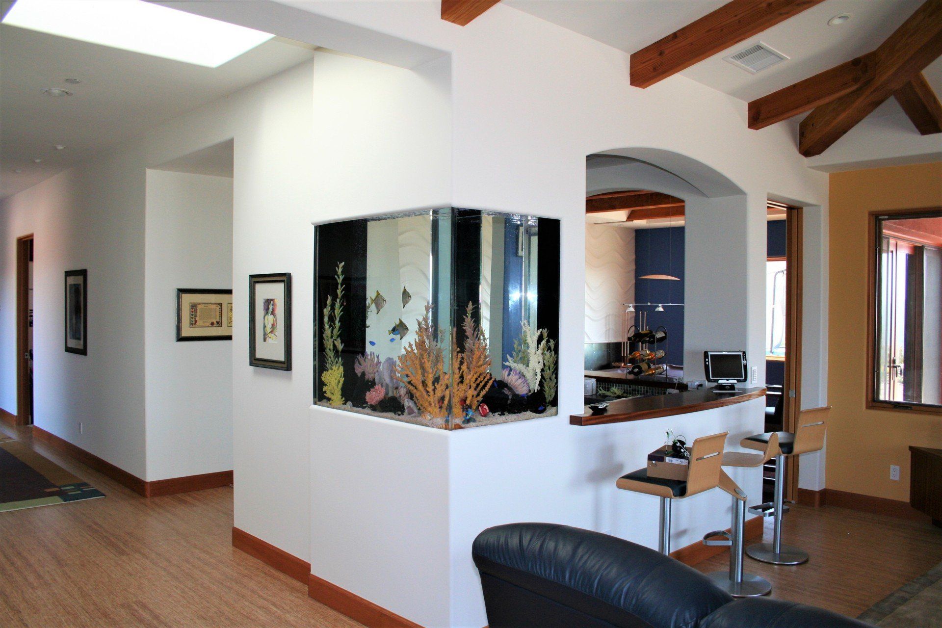 Clean Aquarium | Carlsbad, CA | Aquaman Aquarium Services