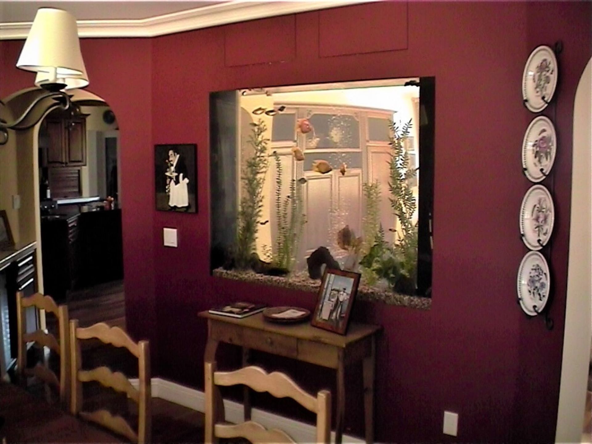 180 Gallon Freshwater Thru-Wall Custom (back) — Carlsbad, CA — Aquaman Aquarium Services