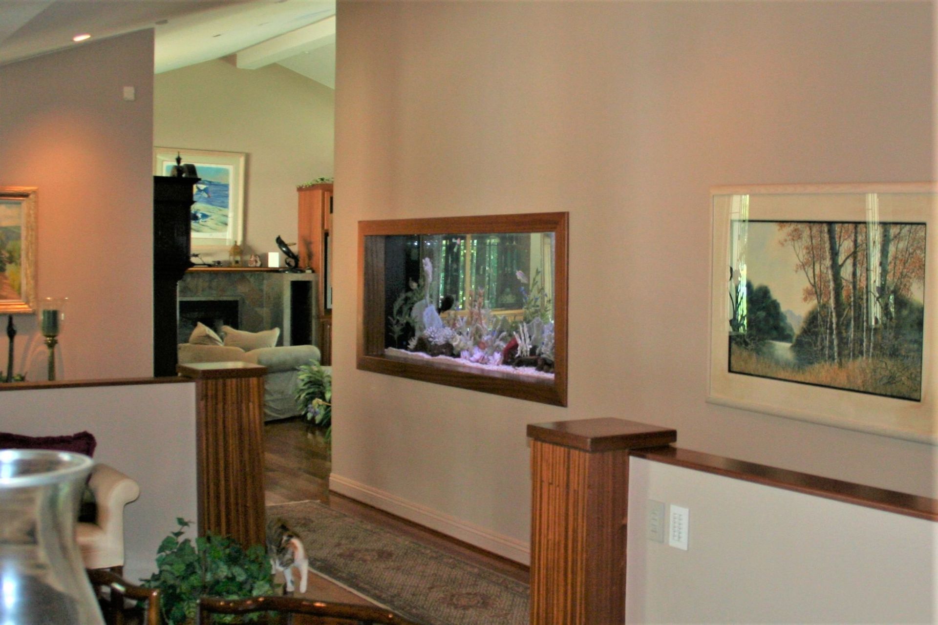 330 Gallon Saltwater Thru-Wall Custom (back) — Carlsbad, CA — Aquaman Aquarium Services