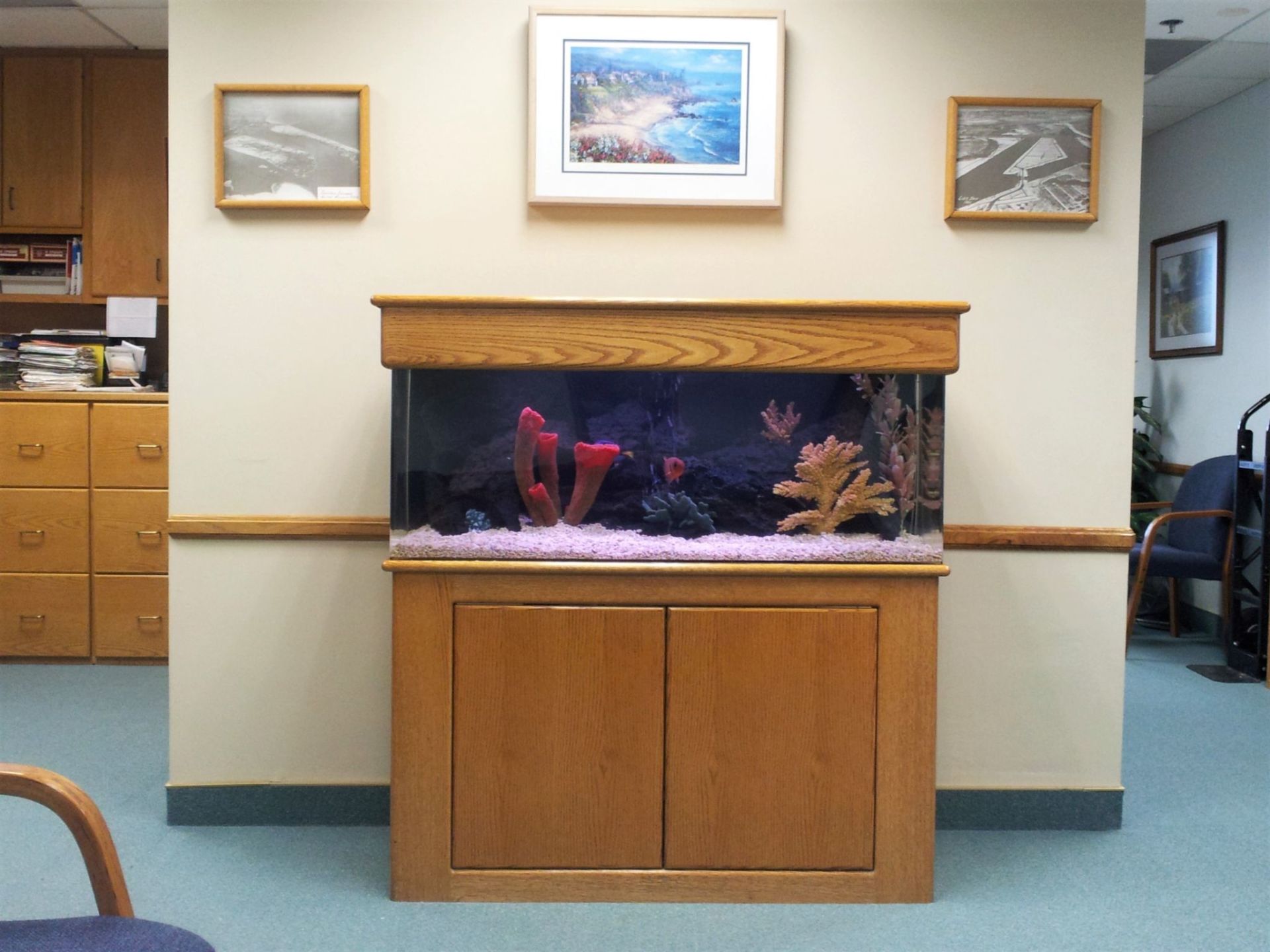 50 Gallon Saltwater Standard — Carlsbad, CA — Aquaman Aquarium Services