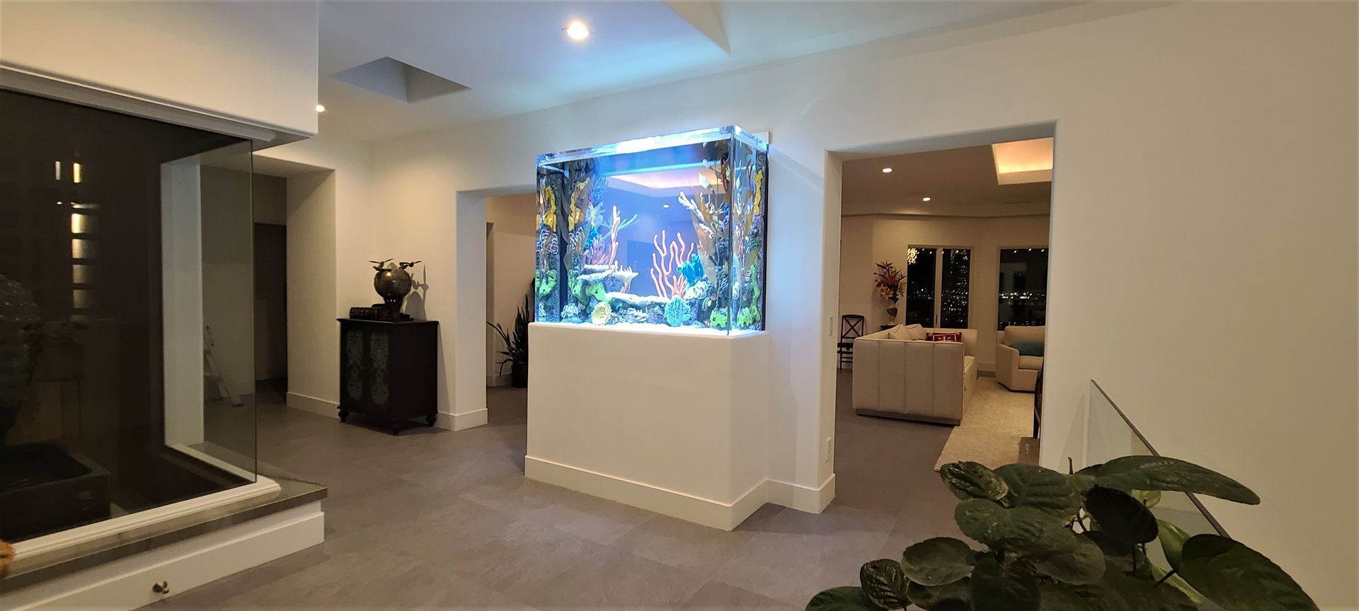 Beautiful Aquarium | Carlsbad, CA | Aquaman Aquarium Services
