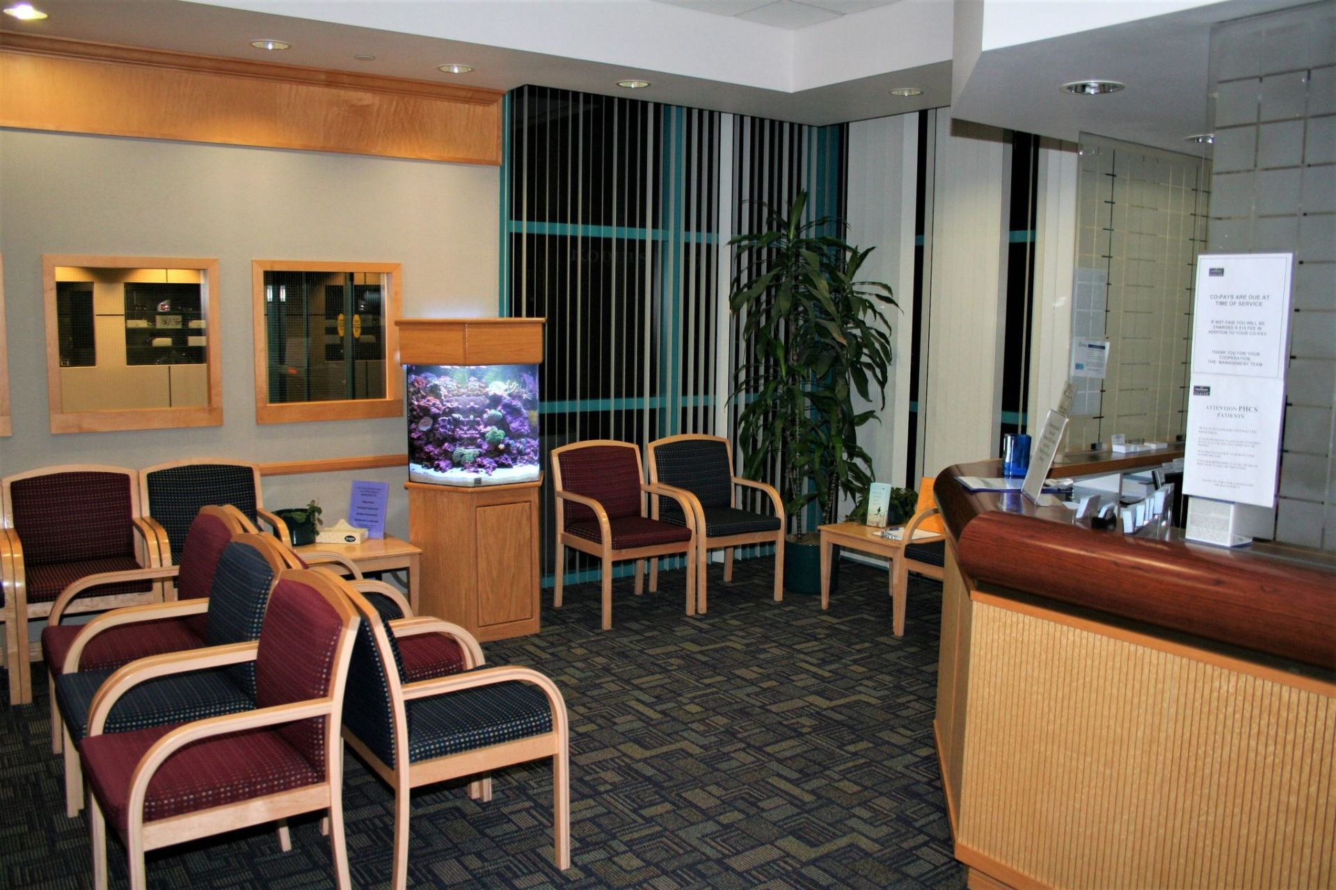 50 Gallon Mixed Reef Hex 2 — Carlsbad, CA — Aquaman Aquarium Services