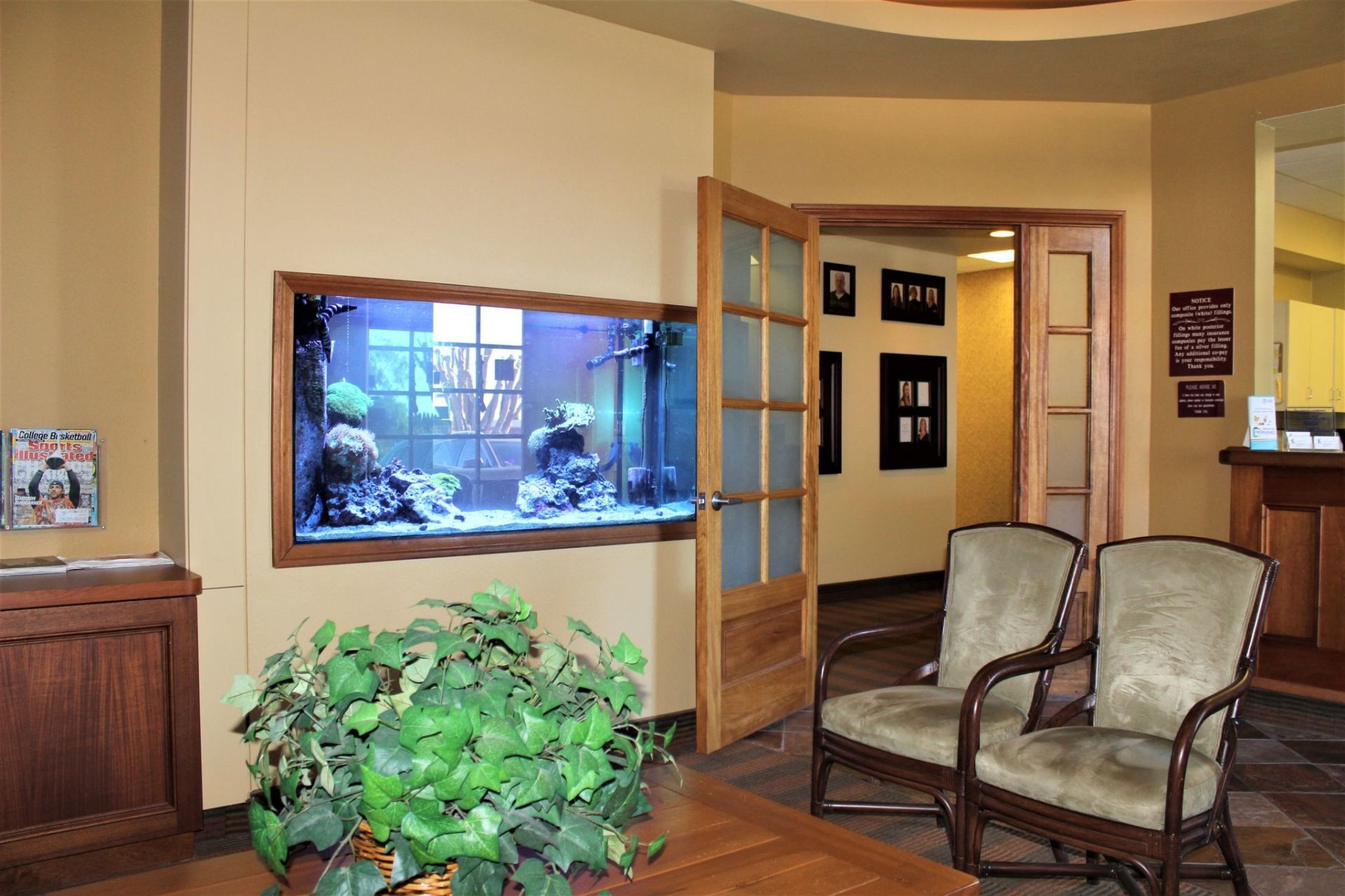 240 Gallon Reef Thru-Wall Custom — Carlsbad, CA — Aquaman Aquarium Services