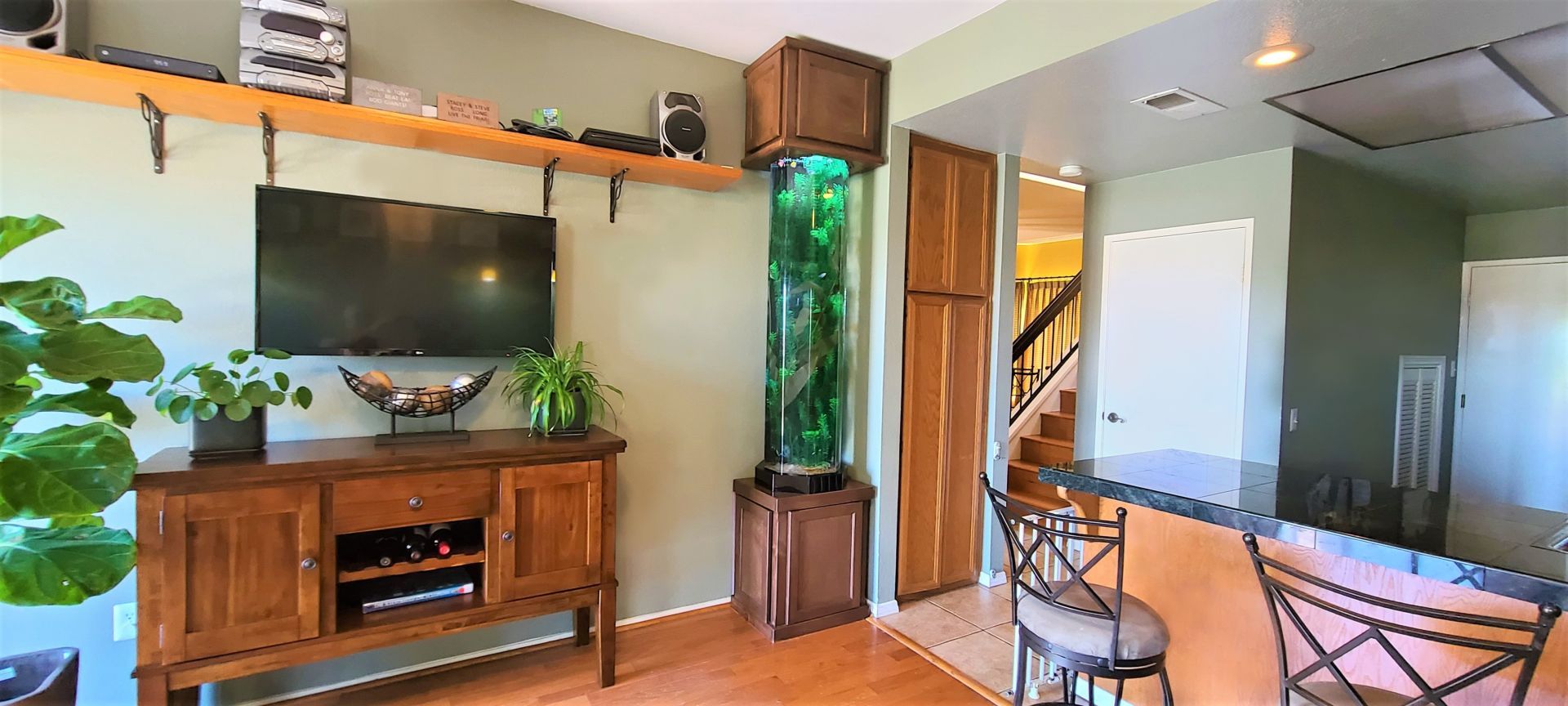 6 Foot Tall Hex Ceiling To Floor — Carlsbad, CA — Aquaman Aquarium Services