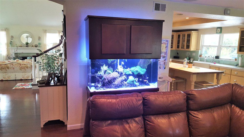 75 Gallon Mixed Reef — Carlsbad, CA — Aquaman Aquarium Services