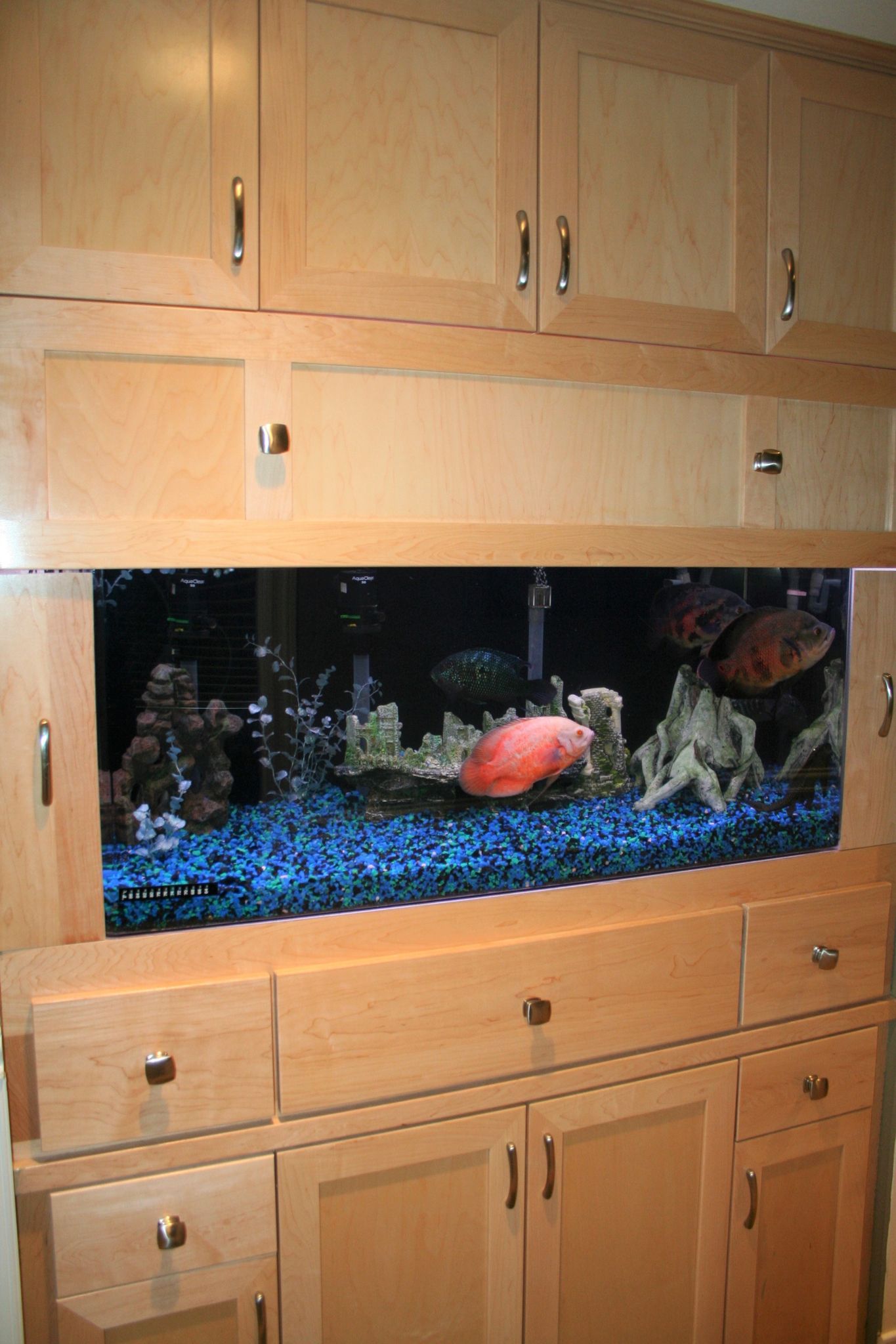 85 Gallon Freshwater Nook Custom Built-In — Carlsbad, CA — Aquaman Aquarium Services