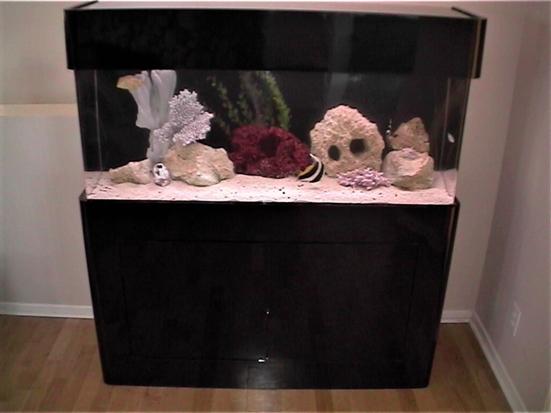 65 Gallon Saltwater Standard — Carlsbad, CA — Aquaman Aquarium Services