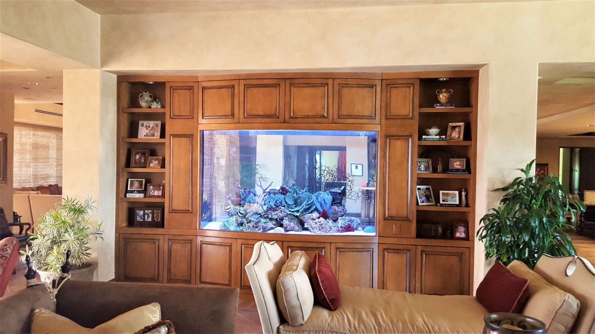 1200 Gallon Saltwater Bow-Front Thru-Wall — Carlsbad, CA — Aquaman Aquarium Services