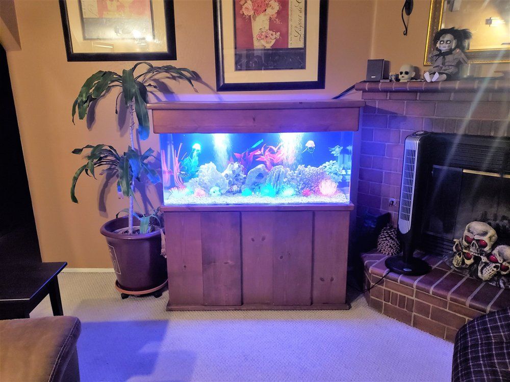 75 Gallon Saltwater Glo-Lighting — Carlsbad, CA — Aquaman Aquarium Services