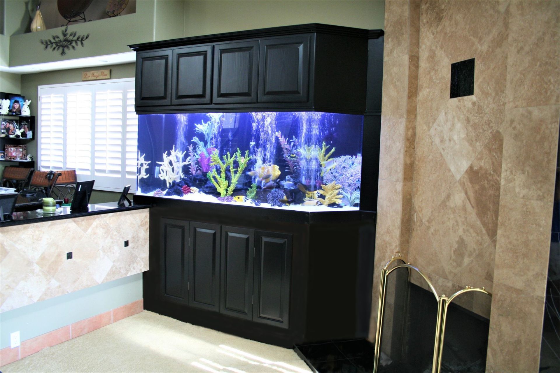 310 Gallon Saltwater On-Wall Custom — Carlsbad, CA — Aquaman Aquarium Services