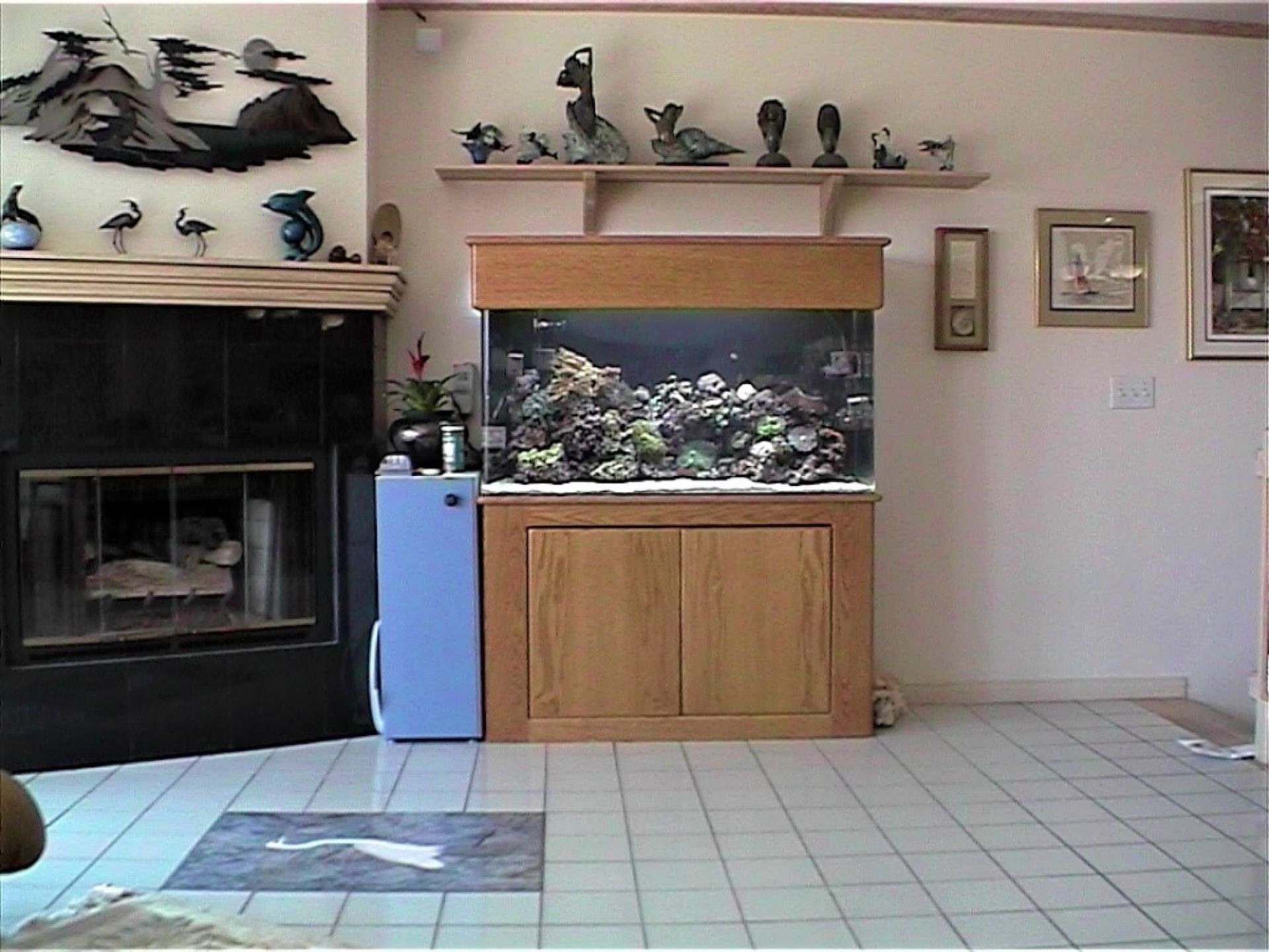 75 Gallon Mixed Reef Standard — Carlsbad, CA — Aquaman Aquarium Services