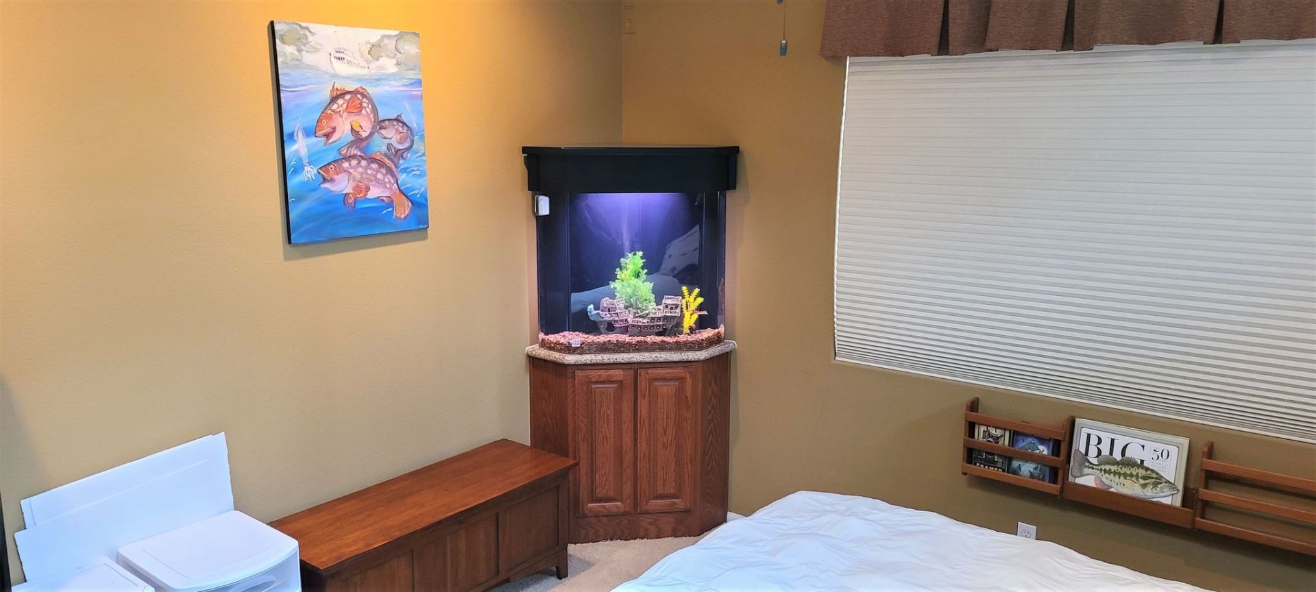 90 Gallon Freshwater Corner — Carlsbad, CA — Aquaman Aquarium Services