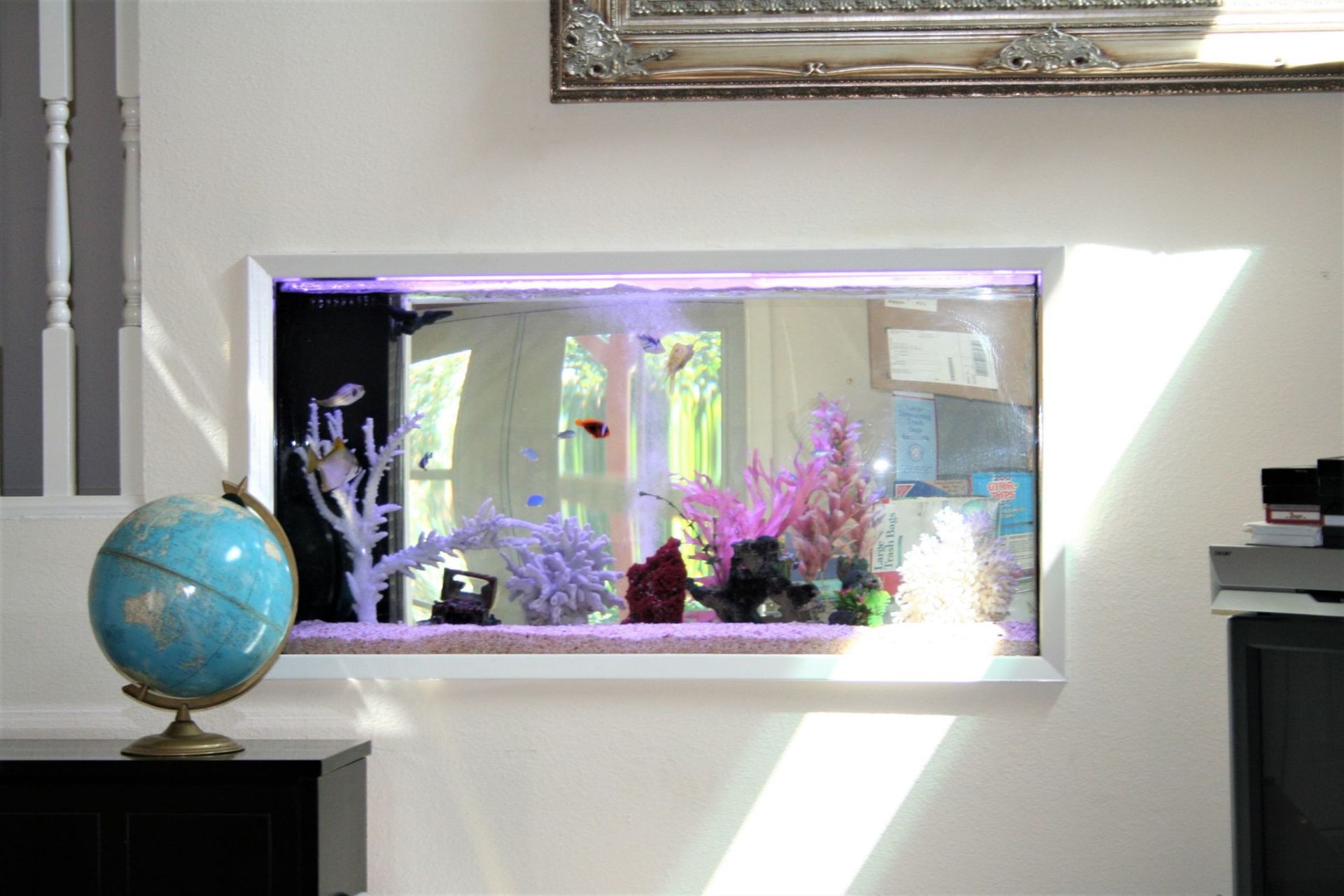 75 Gallon Saltwater Thru-Wall Custom — Carlsbad, CA — Aquaman Aquarium Services