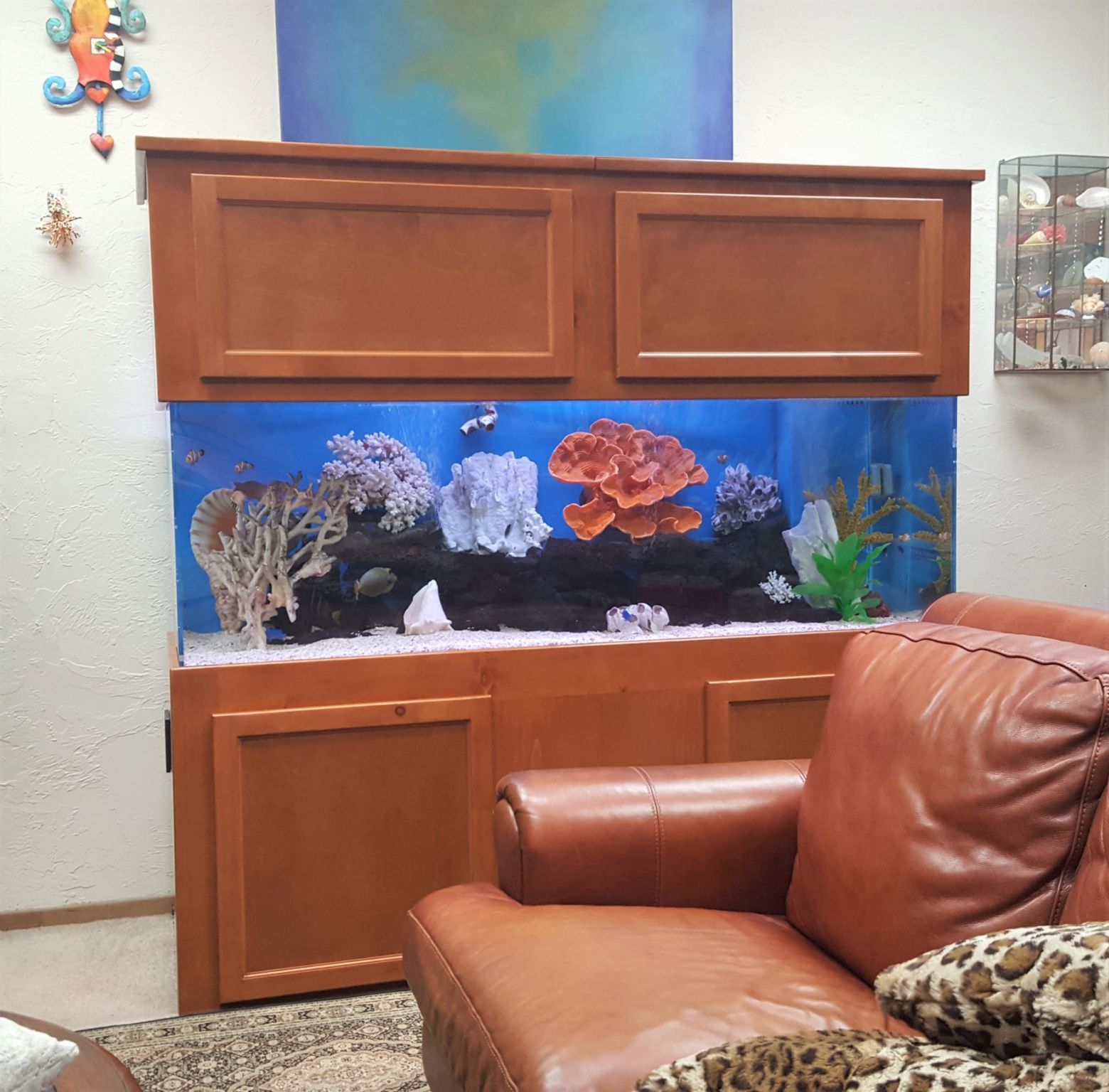 160 Gallon Saltwater — Carlsbad, CA — Aquaman Aquarium Services