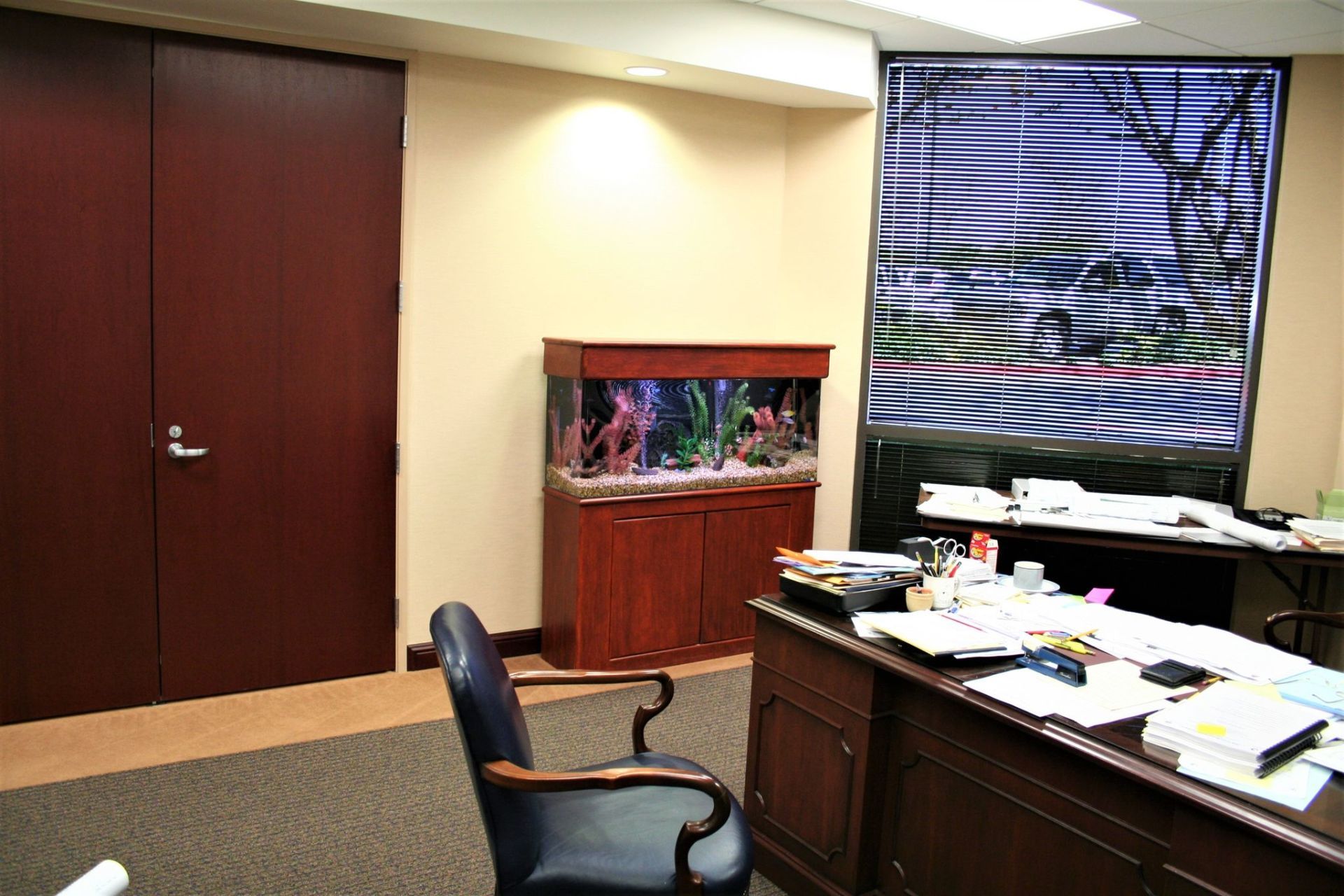 55 Gallon Freshwater Discus — Carlsbad, CA — Aquaman Aquarium Services