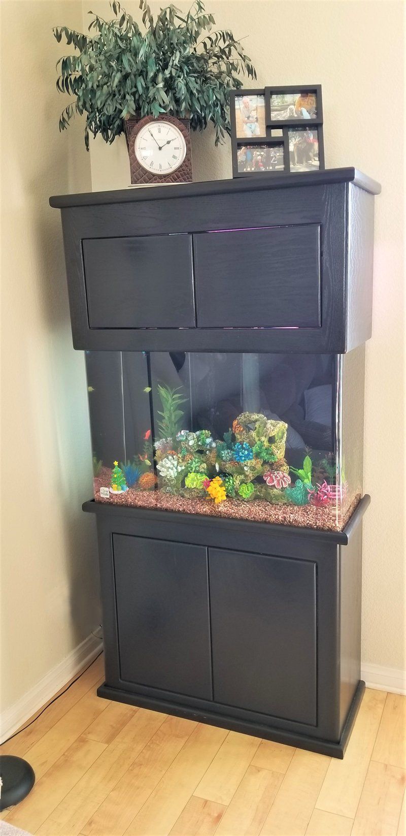 50 Gallon Freshwater — Carlsbad, CA — Aquaman Aquarium Services