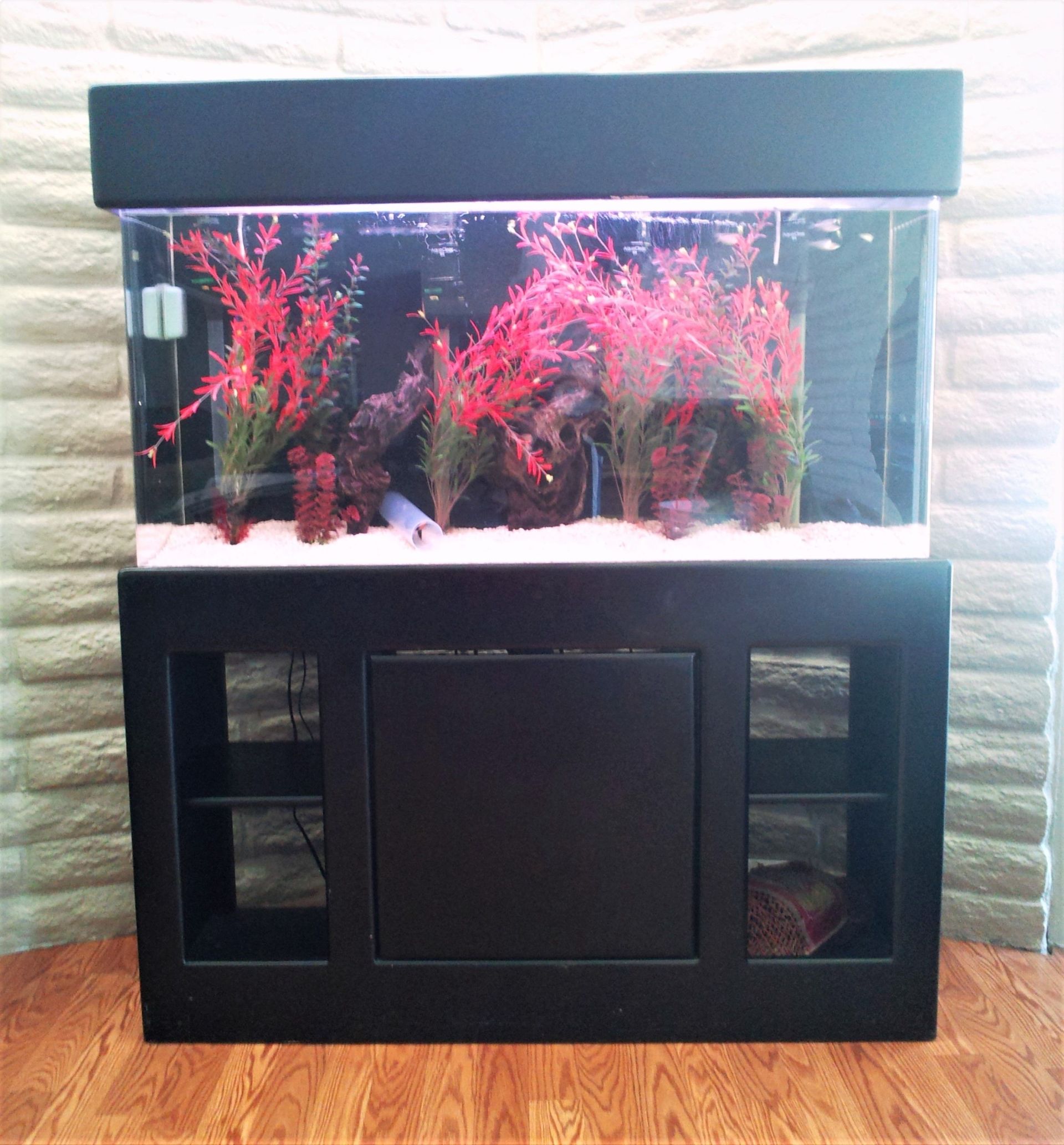60 Gallon Freshwater Standard — Carlsbad, CA — Aquaman Aquarium Services
