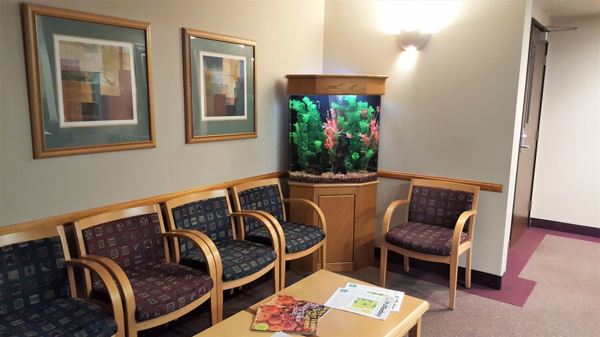 45 Gallon Freshwater Standard — Carlsbad, CA — Aquaman Aquarium Services