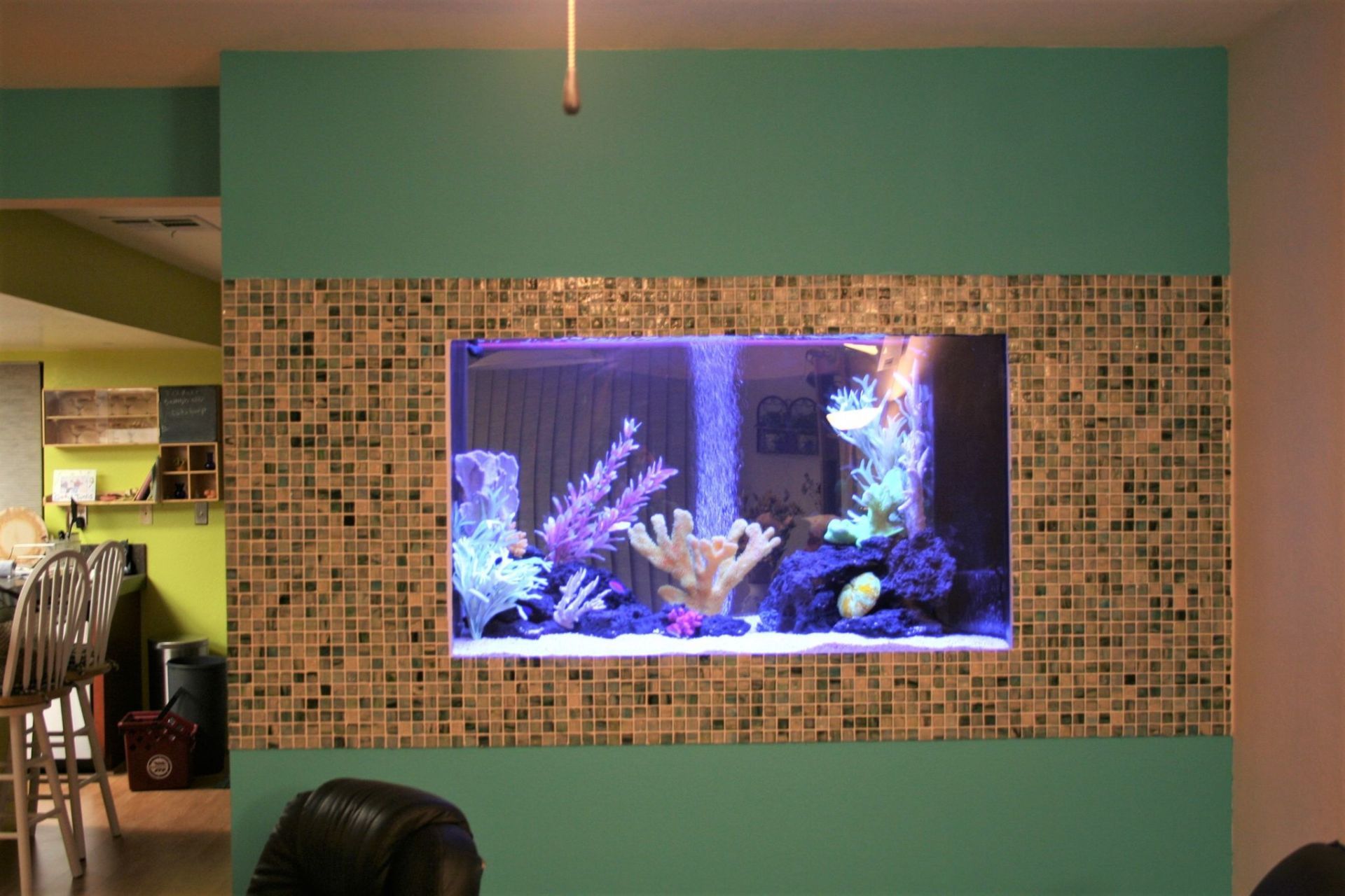 140 Gallon Saltwater Thru-Wall Custom (back) — Carlsbad, CA — Aquaman Aquarium Services