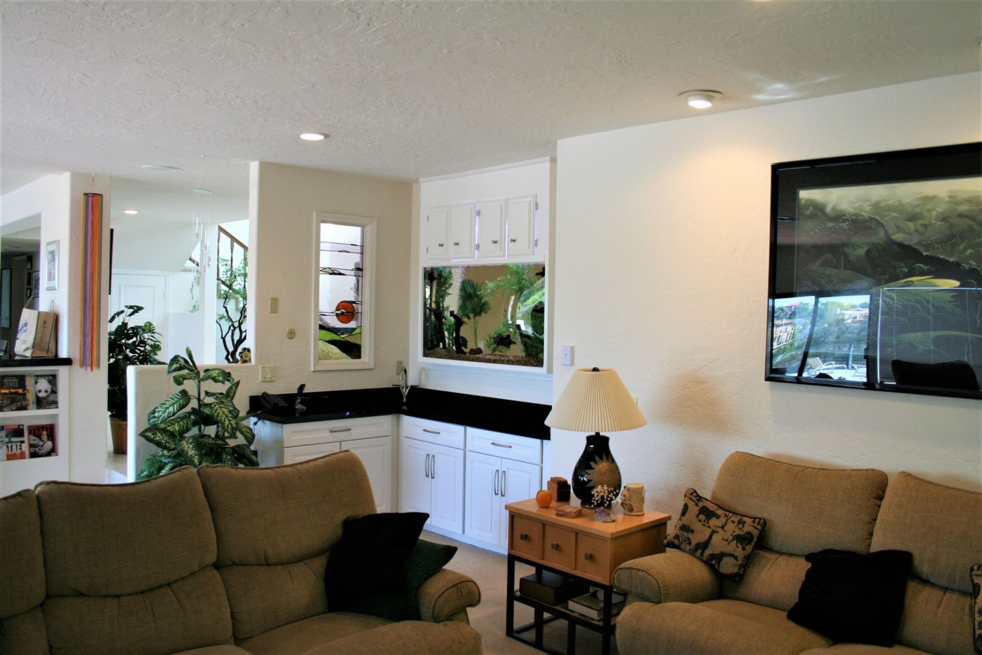 90 Gallon Freshwater In-Wall Custom — Carlsbad, CA — Aquaman Aquarium Services