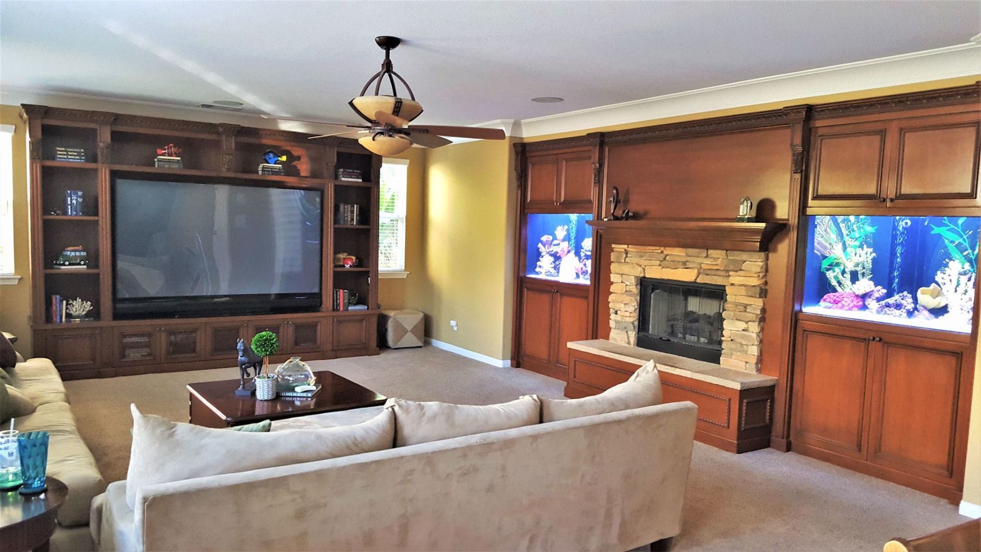 Dual 100 Gallons Saltwater In-Wall — Carlsbad, CA — Aquaman Aquarium Services