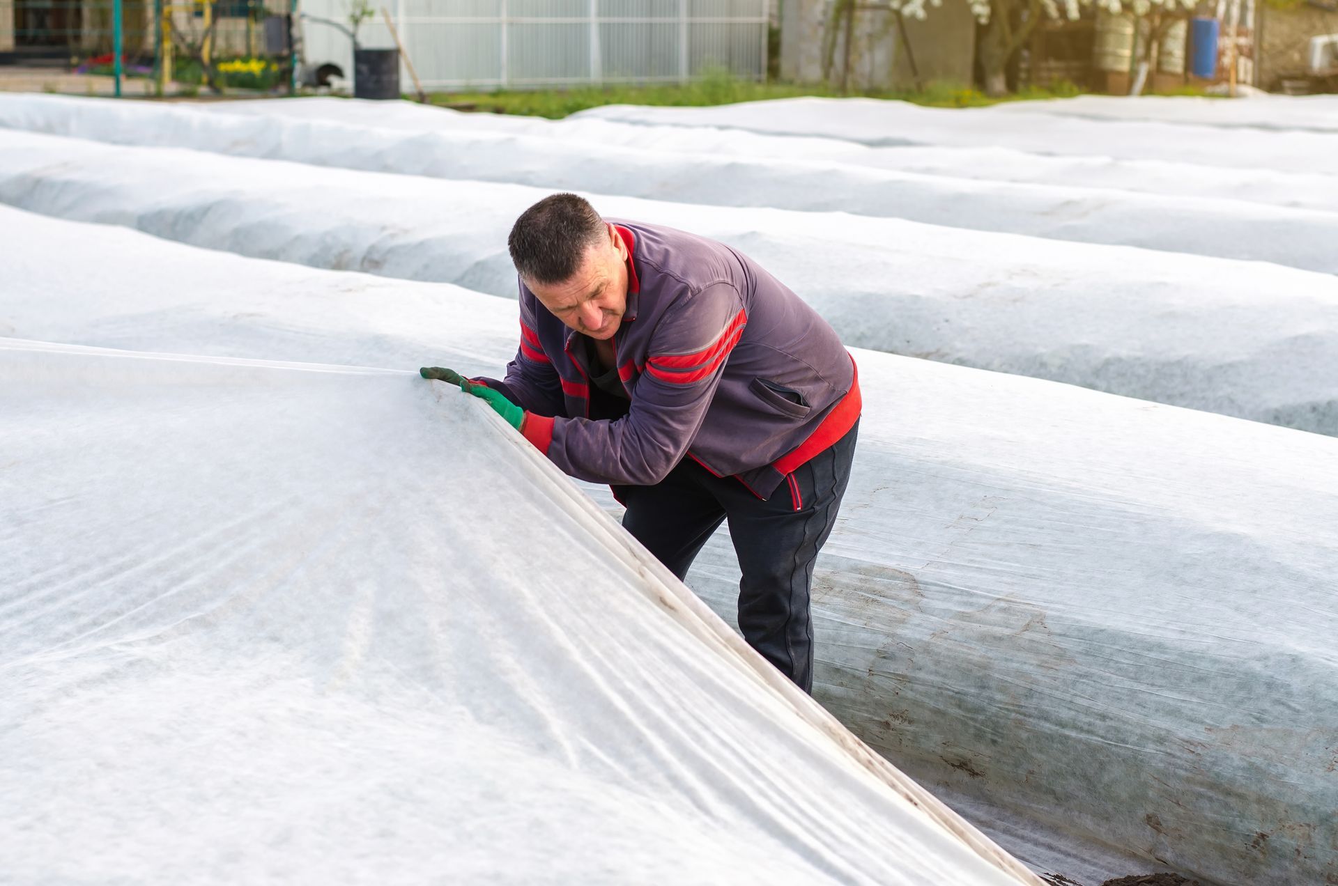 how to use a frost blanket