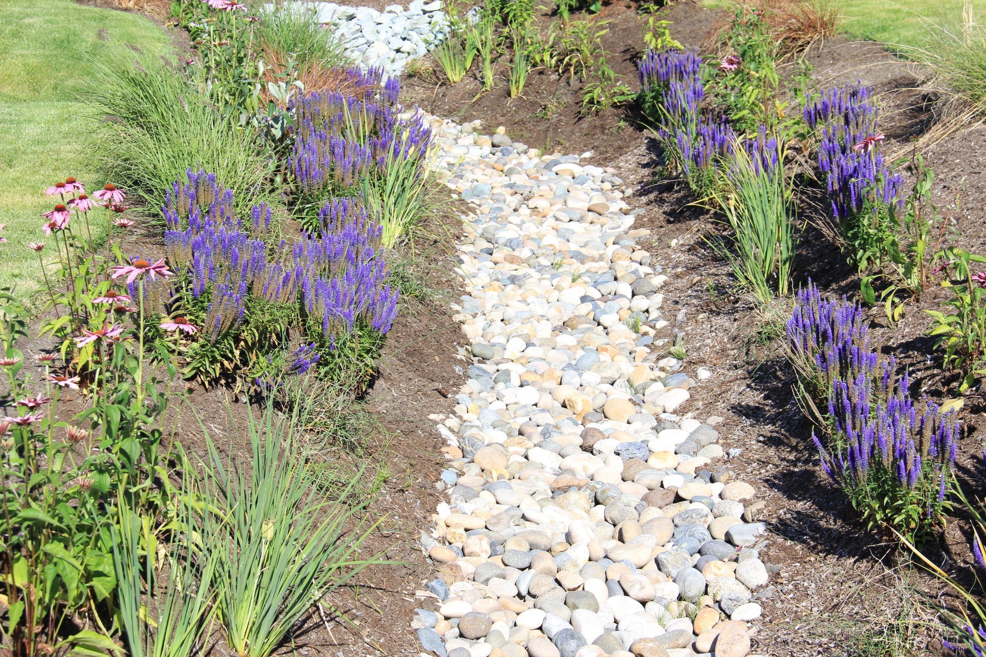 landscape drainage solutions