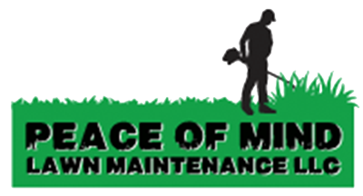 Logo for