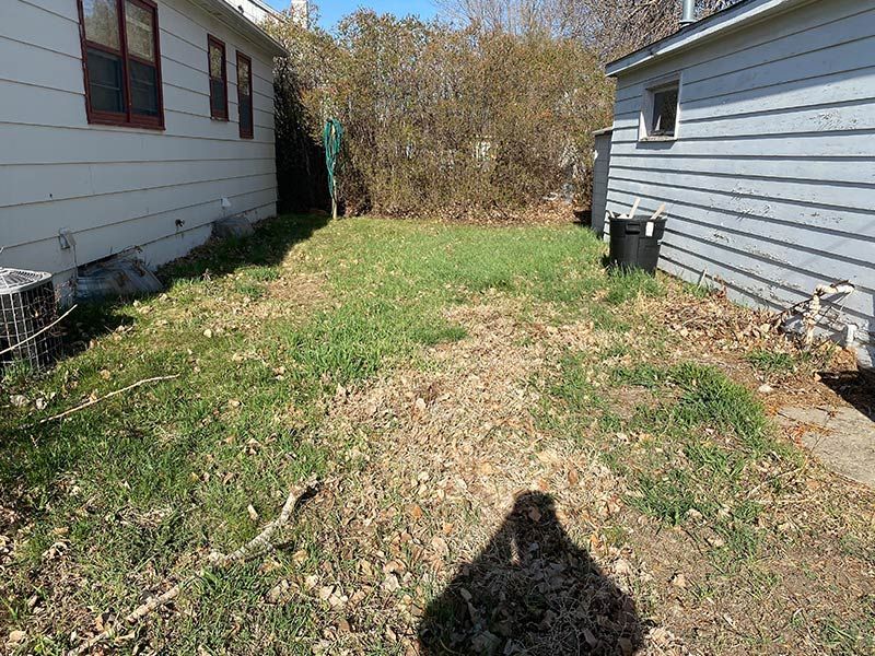 Grassy yard between two houses, with a shadow in the foreground and a bamboo thicket at the back.