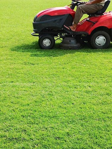 A person on a red riding lawn mower cutting green grass on a sunny day.