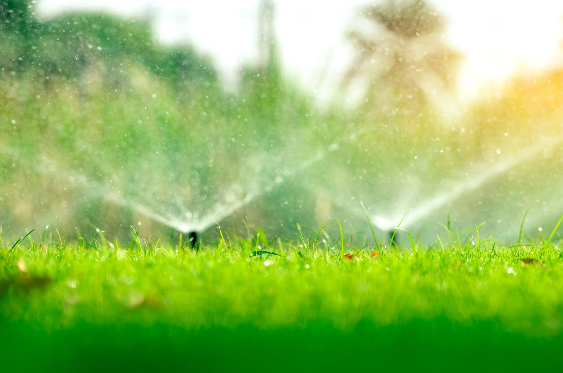 An automatic lawn sprinkler system in action, evenly watering lush green grass.