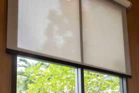 Window with light-filtering roller shades, looking out at green foliage.