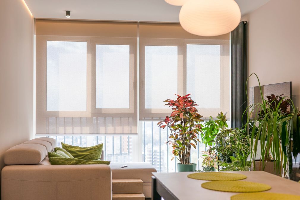 Cozy living space with a couch, dining table, plants, and windows with light shades.