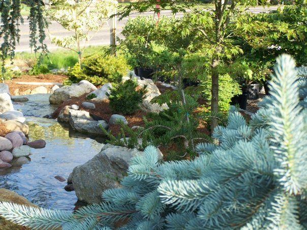 Pond Surrounded By Trees And Rocks – Fairfield, OH – Lakeview Garden Center & Landscaping