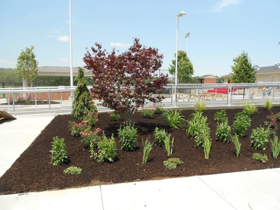 Greenhouse Filled With Lots Of Potted Plants – Fairfield, OH – Lakeview Garden Center & Landscaping