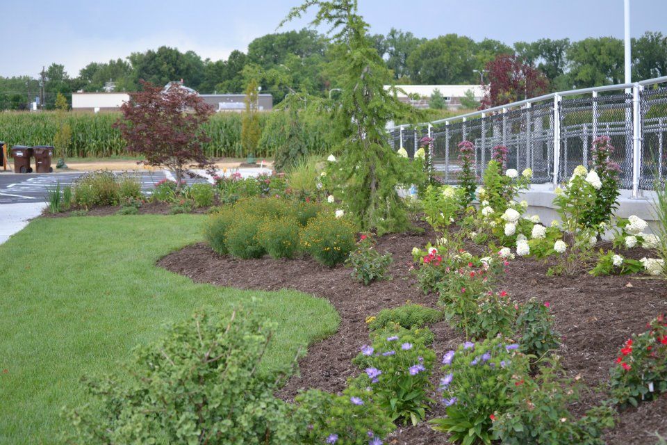 Picture Of Plants And Trees – Fairfield, OH – Lakeview Garden Center & Landscaping