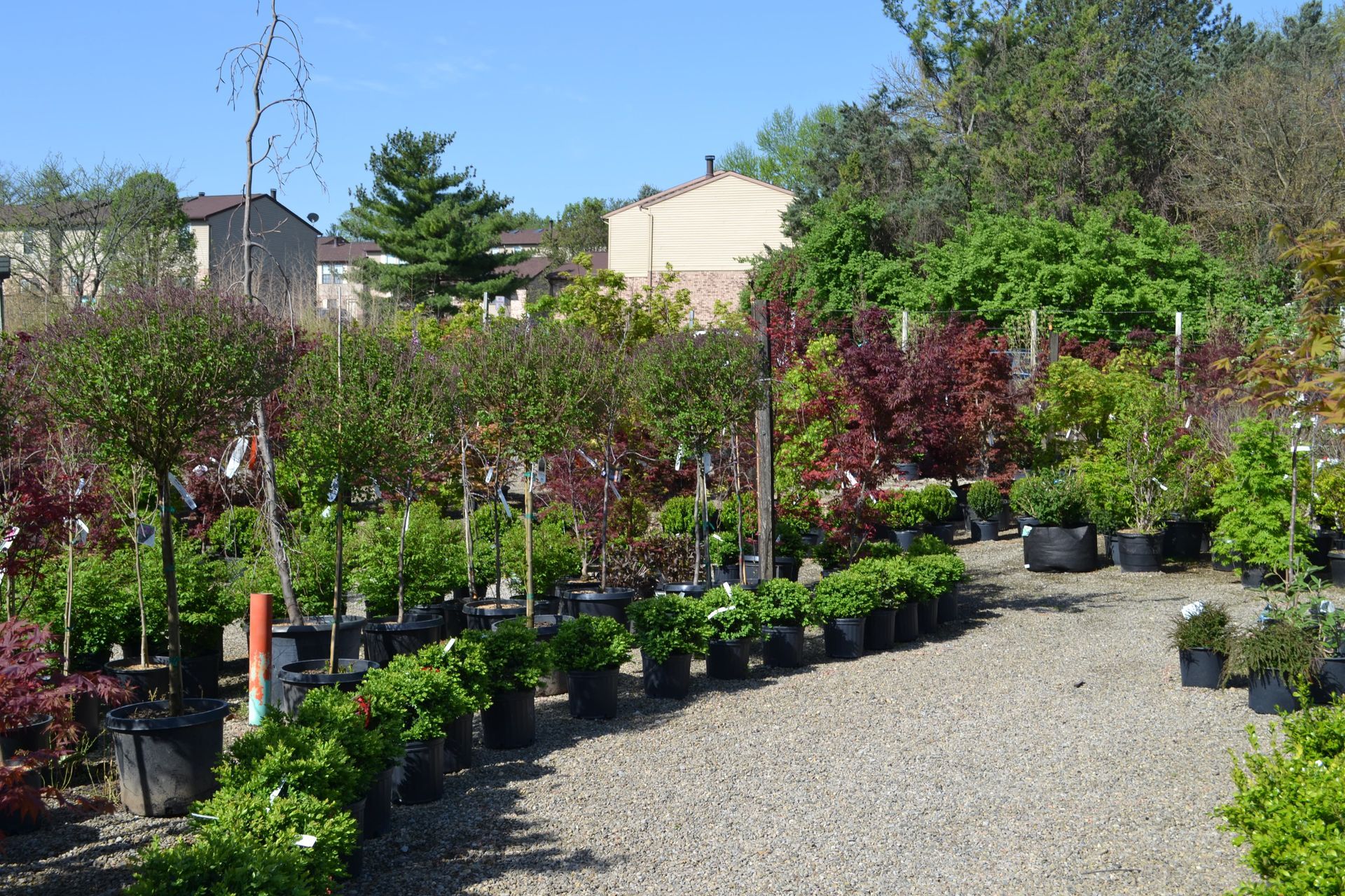 Greenhouse With Number Five On The Site – Fairfield, OH – Lakeview Garden Center & Landscaping